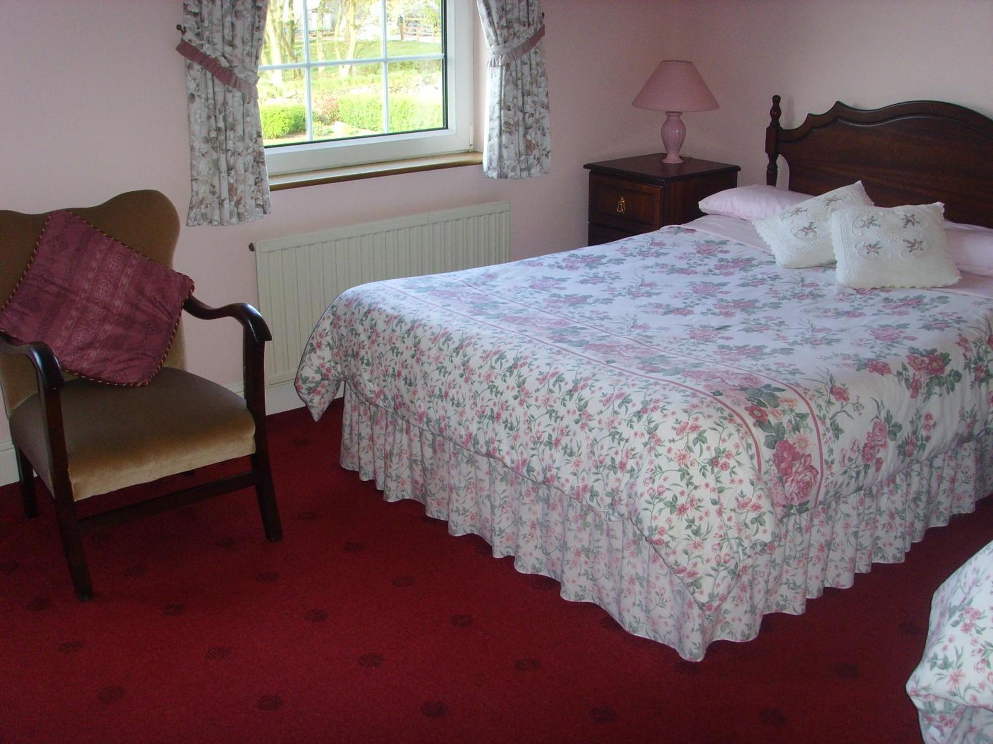 קלונקילטי Springfield House B&B מראה חיצוני תמונה