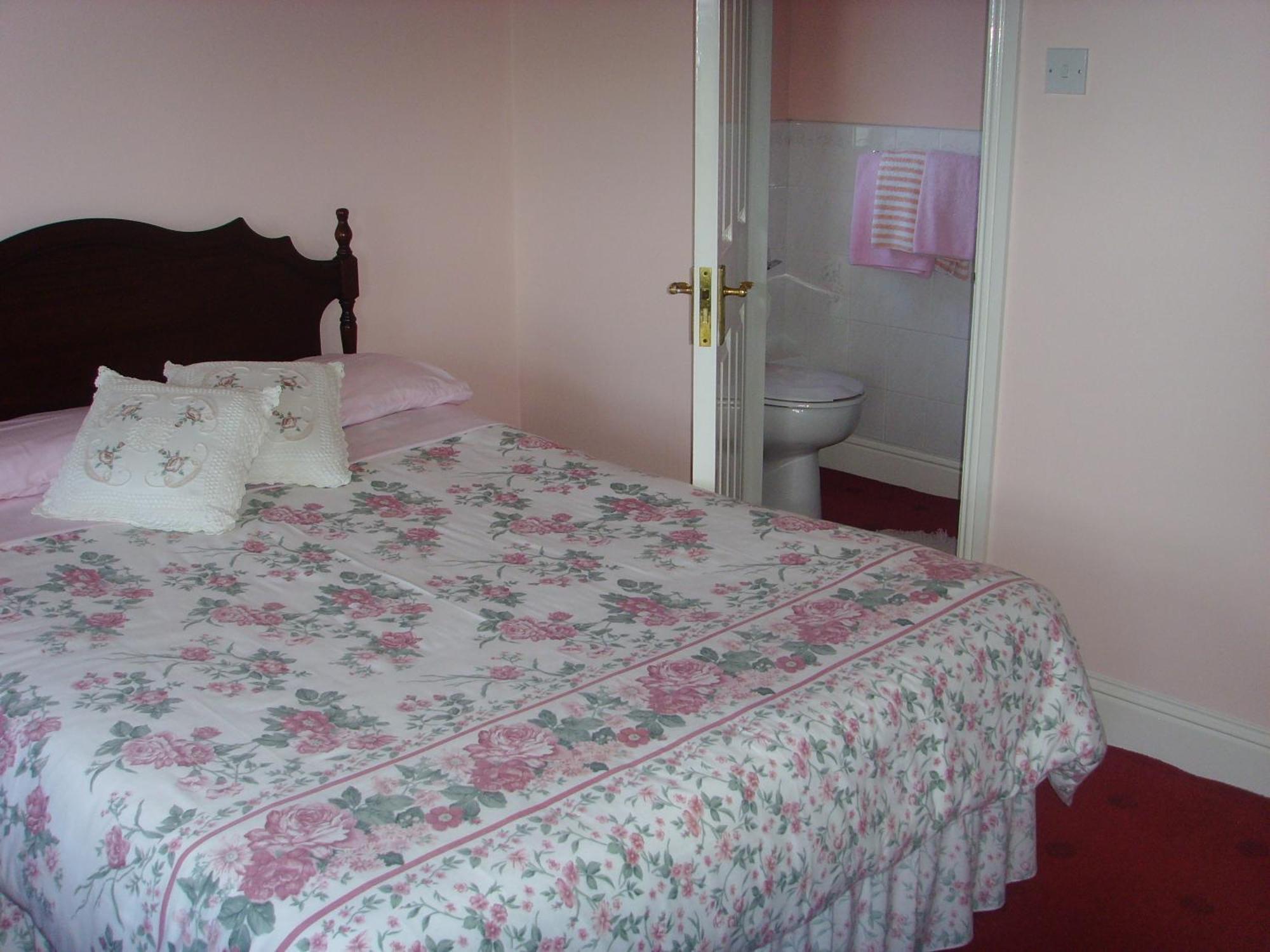 קלונקילטי Springfield House B&B מראה חיצוני תמונה