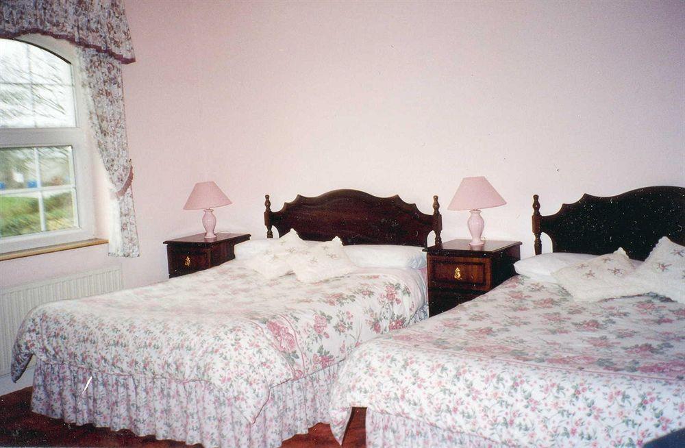 קלונקילטי Springfield House B&B מראה חיצוני תמונה