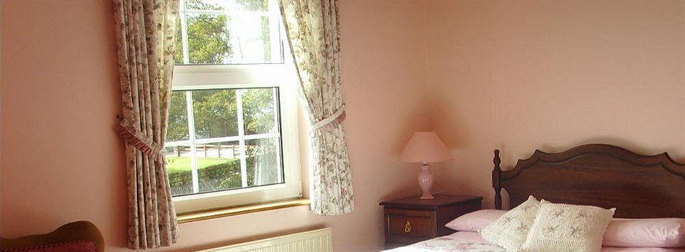 קלונקילטי Springfield House B&B מראה חיצוני תמונה