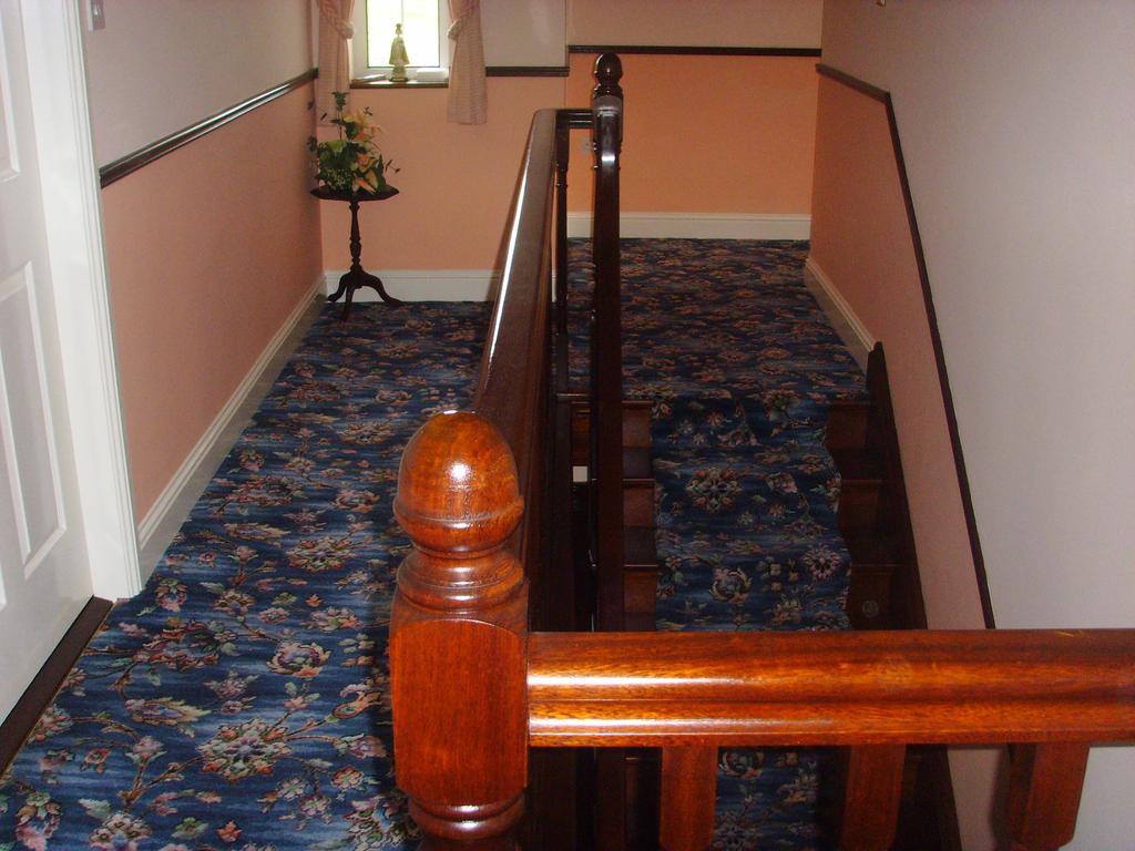 קלונקילטי Springfield House B&B מראה חיצוני תמונה